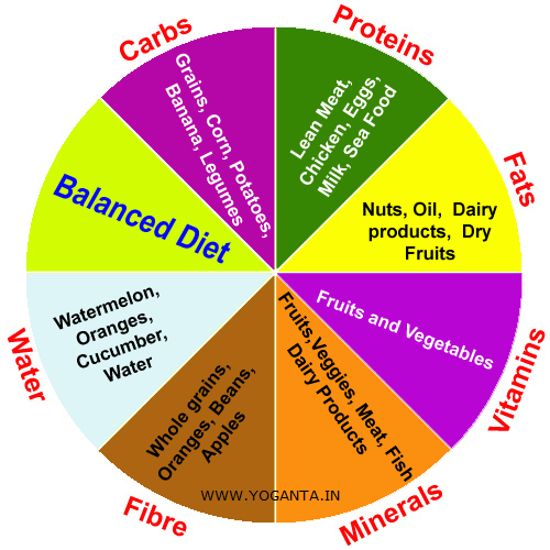 Balanced diet info-graphic