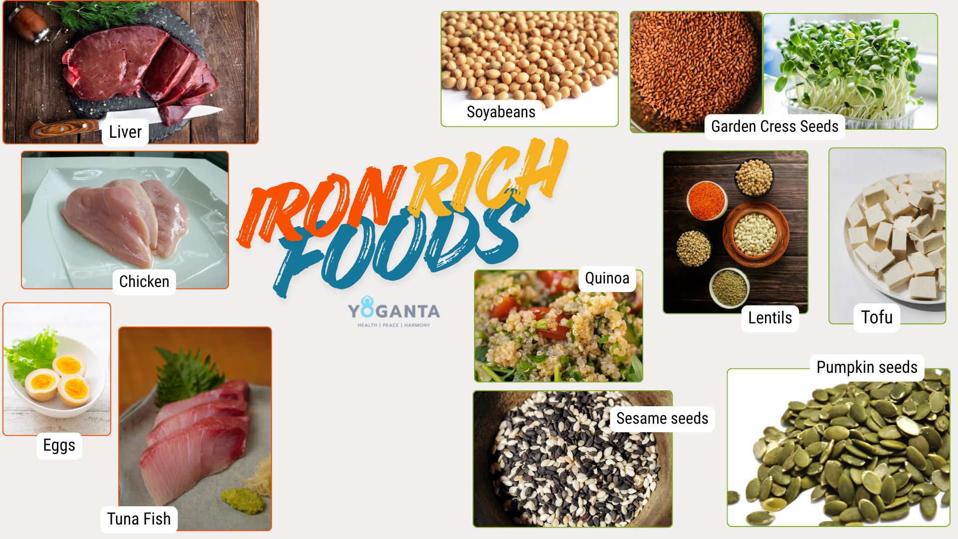 Top Iron-Rich Foods That Are Great Sources of Iron